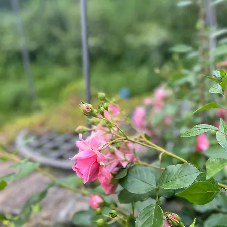 Villachiara * Silvi Marina