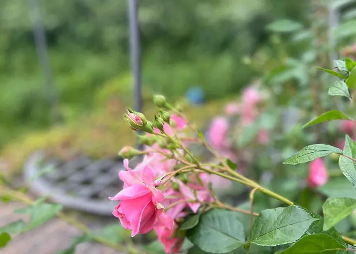 Villachiara * Silvi Marina